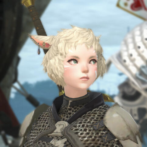Knight Kitty